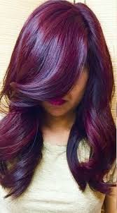 Winter Fall 2015 Hair Color Trends Guide Simply Organic Beauty Hair Color Plum 2015 Hair Color Trends Plum Hair