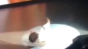 Oprah Falls On Stage Watch News Videos Online