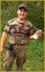 Quand tu penses aux vaches, tu penses probablement à une ferme. Photos De Morchella Esculenta Morille Grise Ou Vulgaire Auriculaires Et Pezizes Tremelles Morillons Les Morilles Photos Des Champignons D Europe Nature