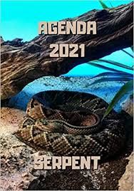 Con man, escape artist, thief, master of disguise and psychopath, charles sobhraj was the chief suspect in the sensational unsolved murders of up to 20 young western travellers. Agenda 2021 Serpent Serpent Avec Fond Bleu Agenda Semainier 2021 Serpent Annuel 12 Mois Janvier A Decembre 2021 Planificateur Semainier 2021 114 Pages 17 8 X 25 4 Cm French Edition Serpent Agenda 9798692006806 Amazon Com Books