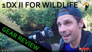 Canon 1DX Mark II Review for Bird and Wildlife Photographers
