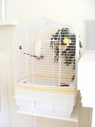 Bird Cage Seed Catcher Diy Diy Bird Seed Catcher Canary Cage Small Bird Cage Bird Cage Accessories
