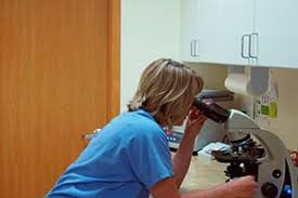 See tacoma cat hospital's revenue, employees, and funding info on owler, the world's largest tacoma cat hospital's competitors, revenue, number of employees, funding, acquisitions & news. Services Flea Control Vaccination Tacoma Cat Hospital