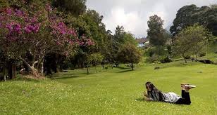 You can also upload and share your favorite sakura matō wallpapers. Pin Di My Travelling