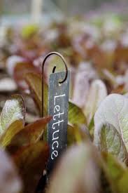Our stylish peony supports, circular plant supports and lobster pot supports will provide durable and reliable support for many years. Plant Tunnels Plant Belles Plant Labels Plant Supports Garden Labels