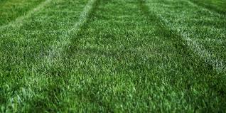 Check spelling or type a new query. Lawn Care Boone Nc Clean Cut Maintenance Services Clean Cut Boone