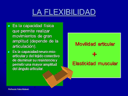 Física propiedad que tienen algunos cuerpos para estirarse o deformarse y recuperar su forma primitiva una vez que cesa la fuerza que los alteraba para facilitar los movimientos, las prendas deportivas se fabrican con tejidos de gran elasticidad. Que Es Flexibilidad Y Elasticidad Muscular Y Articular Para Que Sirve Estiramiento Muscular