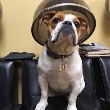 Tracey S Cutting Creations Hair Salon Allison Park Pennsylvania Facebook 2 Reviews 80 Photos