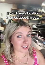 How to Protect Jetski from Mice