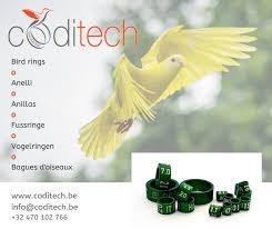 Coditech Nv Company Menen Belgium 9 Photos Facebook
