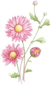 Aster Aster Flower Tattoos Birth Month Flowers Birth Flower Tattoos