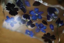 keptflora) • Instagram photos and videos