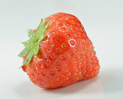 The root system has badly developed, the roots are stunted and have swollen root tips. Strawberry Wikipedia