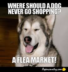 Easygoing Dog Jokes Punky Dog Puns Riddle Me Dog Pg 9 Good Dog Meme Tells Painful Puns Spotty Humor Groaner Dog Jok Dog Puns Dog Jokes Funny Dog Jokes