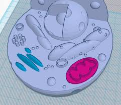 Target.com has been visited by 1m+ users in the past month 3d Printed Animal Cell Model By Cc Pinshape