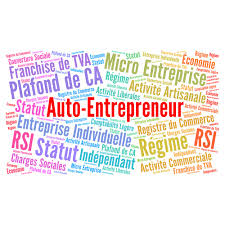 Le statut idéal pour des cours particuliers ? Les Points Forts Et Les Faiblesses Du Statut Auto Entrepreneur