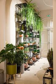 L Appartement Ampm La Nouvelle Boutique De L Avenue Victor Hugo Jardiniere Interieur Plantes D Interieur Suspendues Mur Vegetal