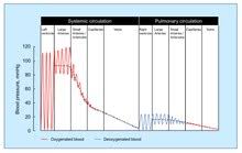 Blood Pressure Wikipedia