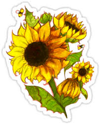 95 ( $0.50 $0.50 / count) Sunflowers Obviously Gouache And Sharpie Also Yellow Aesthetic Stickers Full Size Png Download Seekpng