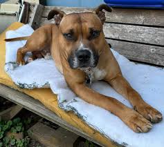 Bug off me keeps bugs away from skin