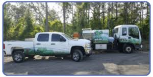 Residential pest control & lawn care services. Total Pest Solutions Provides Termite Control Pest Control Lawn Care