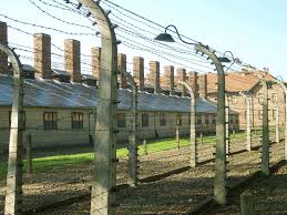 Most electric fences are used today for agricultural fencing and other forms of animal control. All About Electric Fence Gates Electrical Engineering