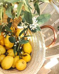 Follow Our Pinterest Zaza Muse For More Similar Pictures Instagram Zaza Muse Lemons Lemon Tree Lemons Mediterranean Garden