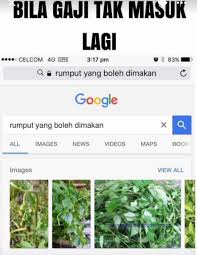 Rumput Yang Boleh Dimakan Meme