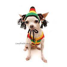 Pin On Myknitt Dog Clothes