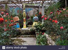 I went there several times but i got to confess i have not been to the rose center yet. Das Rose Center Kea Farm Cameron Highlands Malaysia Ungewohnlichen Und Skurrilen Skulpturen Und Wandmalereien Im Rose Gewachshaus Stockfotografie Alamy