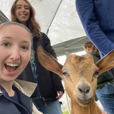 Goodwin Niering Center for the Environment (@gnceconncoll) • Instagram  photos and videos