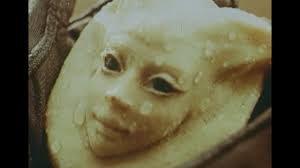 One of the very earliest galaxies ever seen. Garlic Bacon Udfj 39546284 Youtube