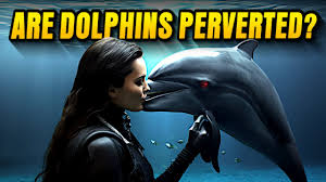 DOLPHINS: The Dark Side of the Ocean's Smartest Creature - YouTube