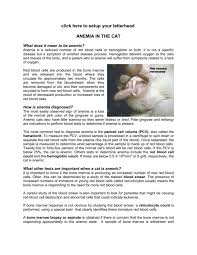This is not a medical term. Anemia In The Cat