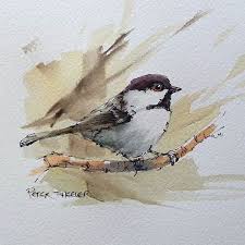 Pin On Bird Painting