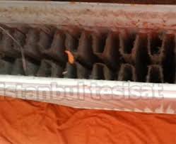 Petek hijyenikliği ne şekilde yapılır? Petek Aralari Temizleme Istanbul Tesisat