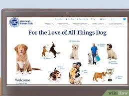 How To Determine Your Dog's Breed: 13 Steps (With Pictures)