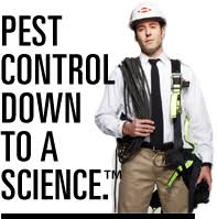 Large beech seed events in the south island lead to a boom in pest numbers. 22 Orkin Pest Control Ideas Orkin Pest Control Orkin Pest Control