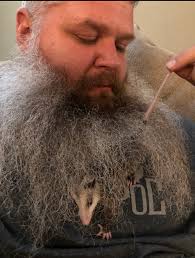 Obituary for Blake Clinton Henderson