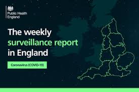 Business leaders arriving in england granted exemption from covid quarantine. Weekly Covid 19 Surveillance Report Published Gov Uk