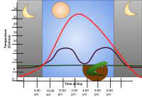 This is the most common cause of a fever. Thermoregulation Wikipedia