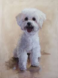 Here S My Latest Pet Portrait The Lovely Chardonnay Check Out The Initial Sketches As Well At The Link She Gave Me M Dog Art Watercolor Dog Animal Paintings