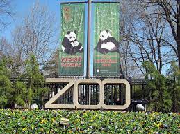 Spring Is In The Air Smithsonian S National Zoo In Washington D C National Zoo Washington Dc Washington Dc Travel Washington Dc