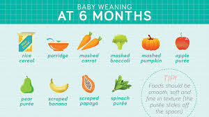 Your By Age Guide To Weaning Baby Infographic