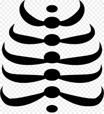 Human rib cage illustration, rib cage heart human skeleton anatomy, skeleton hand transparent background png clipart. Black Line Background Png Download 912 980 Free Transparent Rib Cage Png Download Cleanpng Kisspng