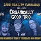 Organically Good Trio at Bayside Bowl (Zero Gravity Presents | all-ages)