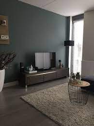 muurverf groen kleur zuil van praxis muurverf huis interieur woonkamer groen