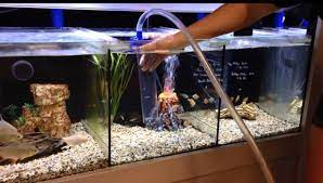 How To Clean A Fish Tank Step By Step Guide Inland Aquatics