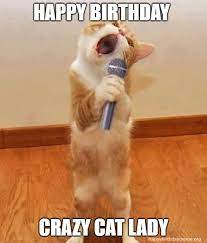 31 Funniest Cat Birthday Meme Happy Birthday Funny Cats Happy Birthday Cat Cat Birthday Funny