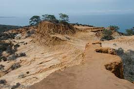 The extra bit of walking pays off if you're looking for a bit more seculsion. Torrey Pines State Natural Reserve Hiking San Diego County